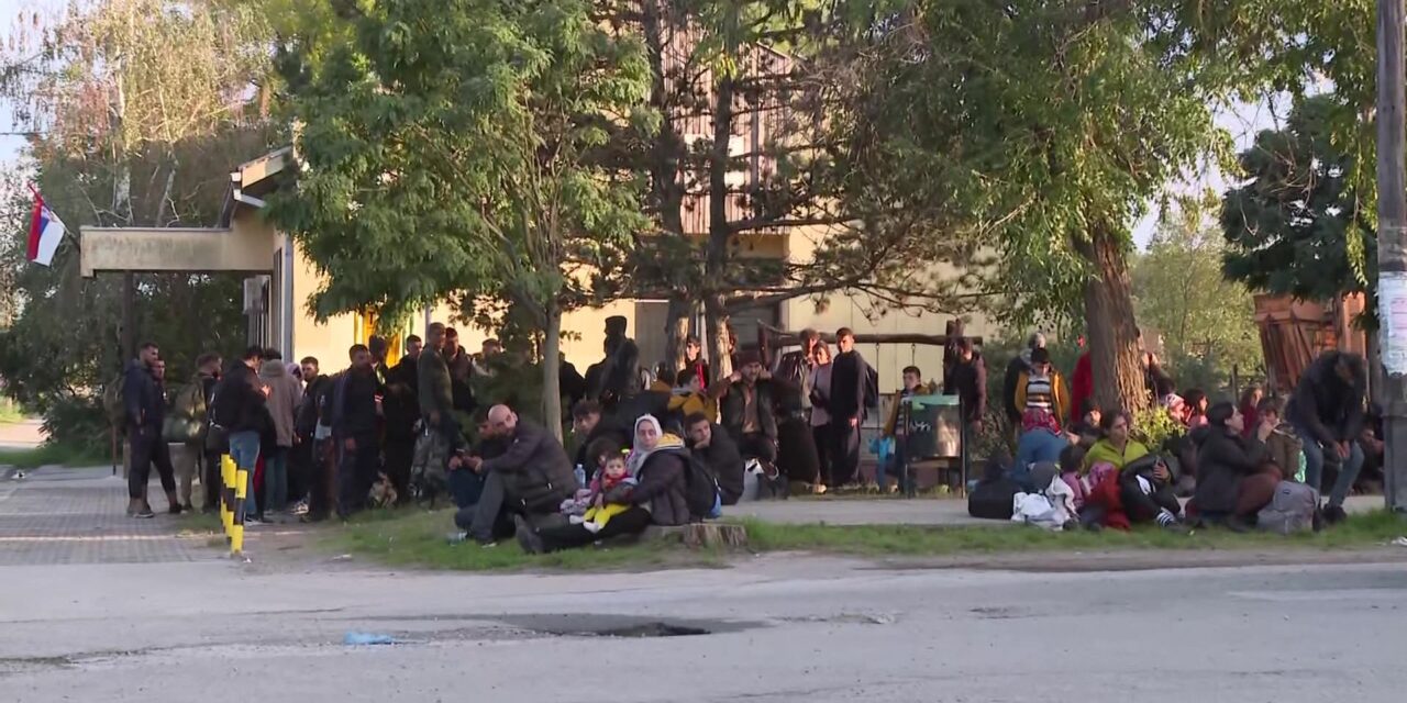 Ismét lövöldöztek a migránsok a makkhetesi erdőben