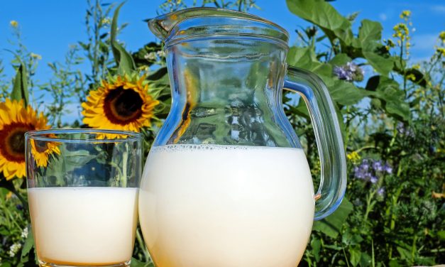 Tejtermelők: “Gratulálunk” az államnak, hogy megoldotta a tejhiányt
