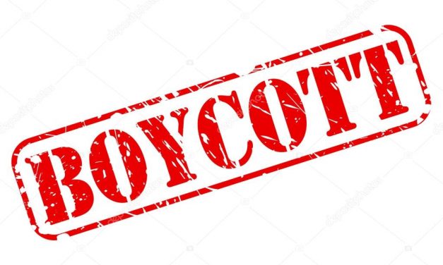 VMDK: „Sikeres volt a bojkott”