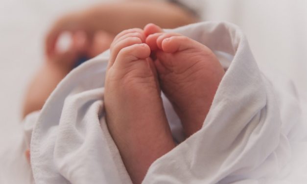 24 óra alatt 24 csecsemő született Újvidéken