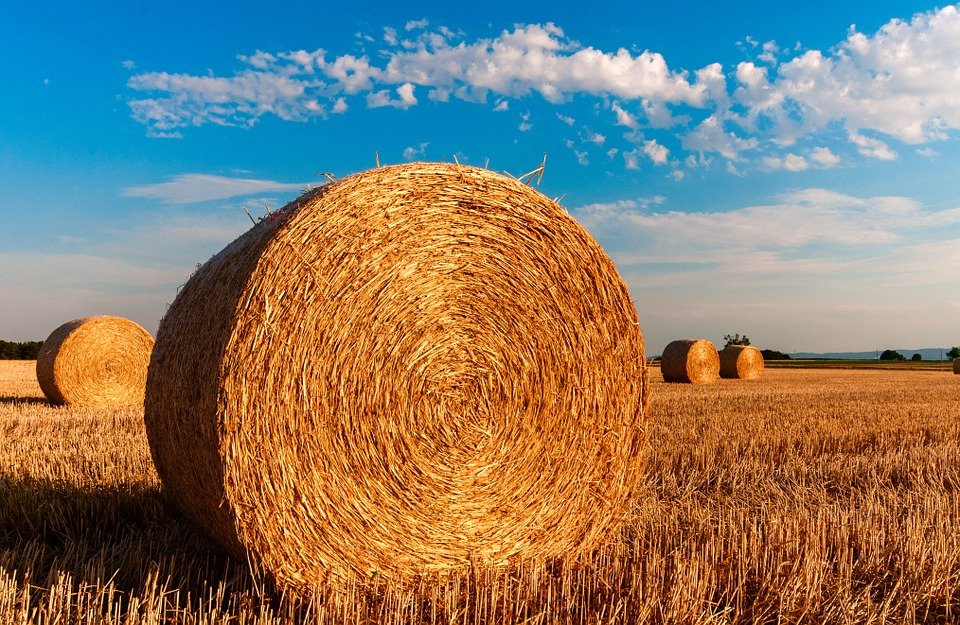 Eurómilliárdok kellenek a szerb mezőgazdaság talpra állítására