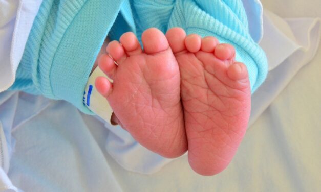 26 kisbaba született Újvidéken az elmúlt 24 órában