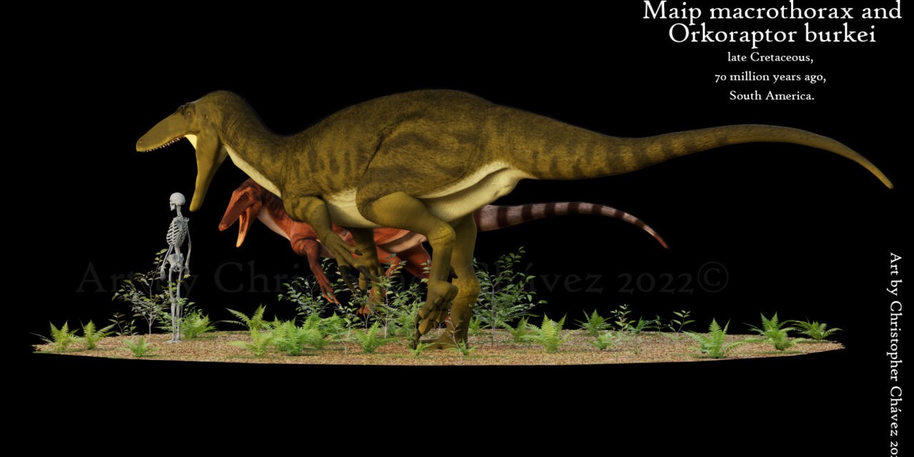 Megaraptor maradványait ásták ki kutatók