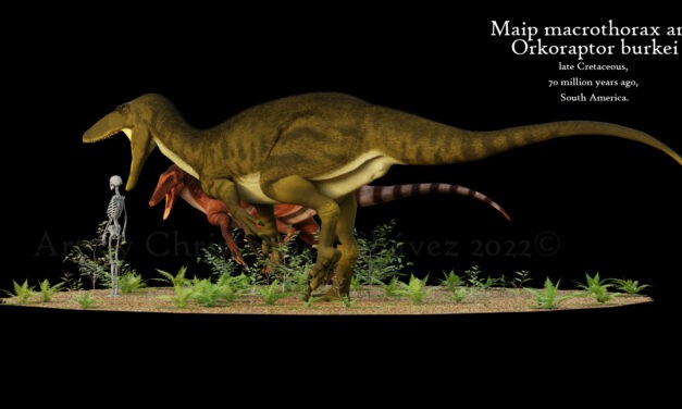 Megaraptor maradványait ásták ki kutatók
