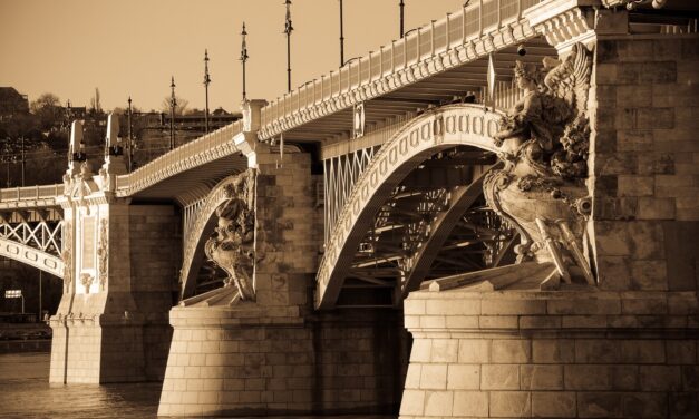 „Rohadjál meg! Dögölj meg! Gyerünk, ugorj!” – üvöltötték a hídról leugrani készülő fiúnak