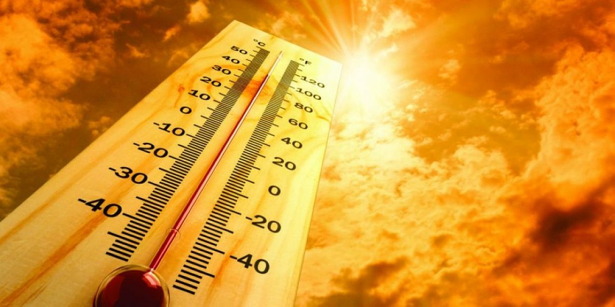Európa legmelegebb nyara több mint 20 000 ember halálát okozta