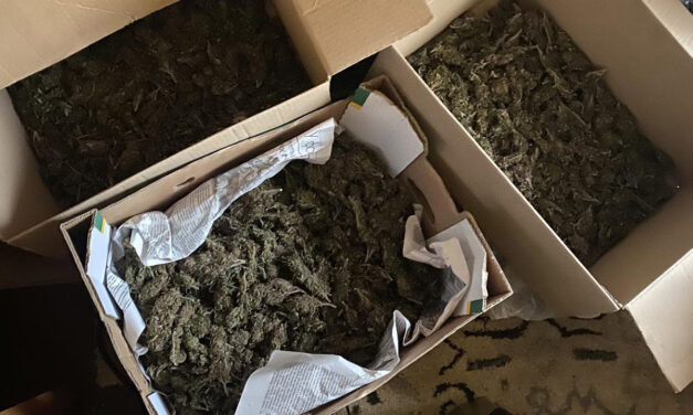 Több kiló kábítószerrel bukott le az újvidéki díler
