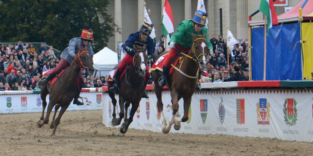 <span class="entry-title-primary">Őcsény lovasa nyerte a Nemzeti Vágtát</span> <span class="entry-subtitle">A vajdasági lovasoknak is termett babér</span>