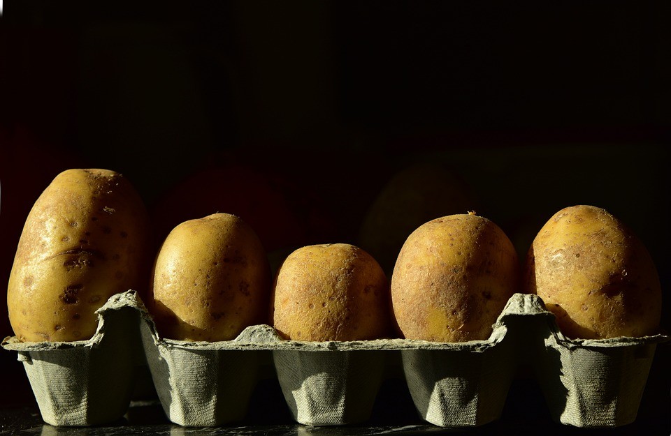 Maximalizálják a krumpli és a tojás árát Magyarországon
