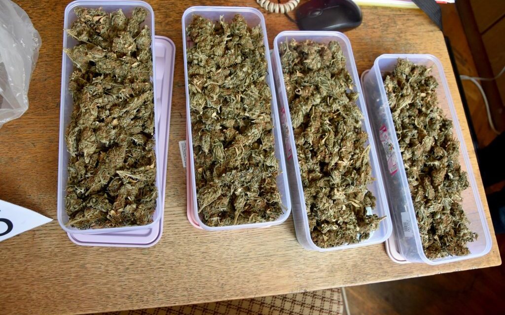 Tizenöt kilogramm marihuánát foglaltak le Nagybecskereken