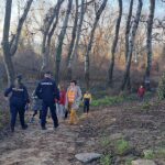 Tovább harcolnak a Sodros fáiért az aktivisták