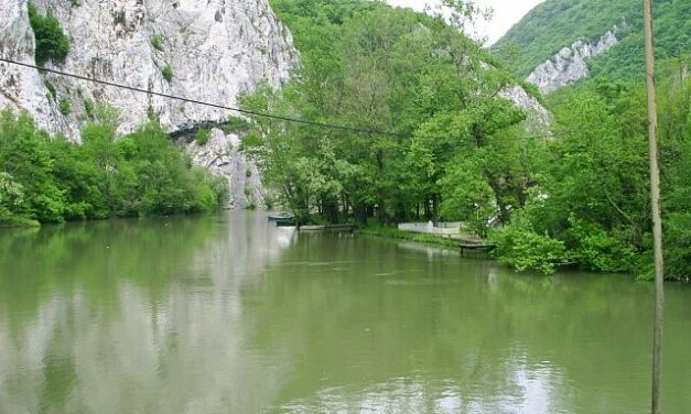 Brnabić: Kifogtuk az összes halat és rákot a Nyugat-Moravából az útépítés miatt