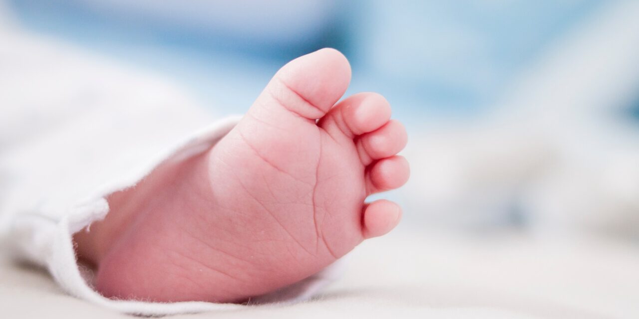 Huszonnégy óra alatt harminc kisbaba született a Betanijában
