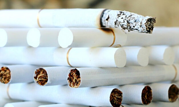1800 doboz cigarettát találtak a magyarországi pénzügyőrök egy sofőrnél